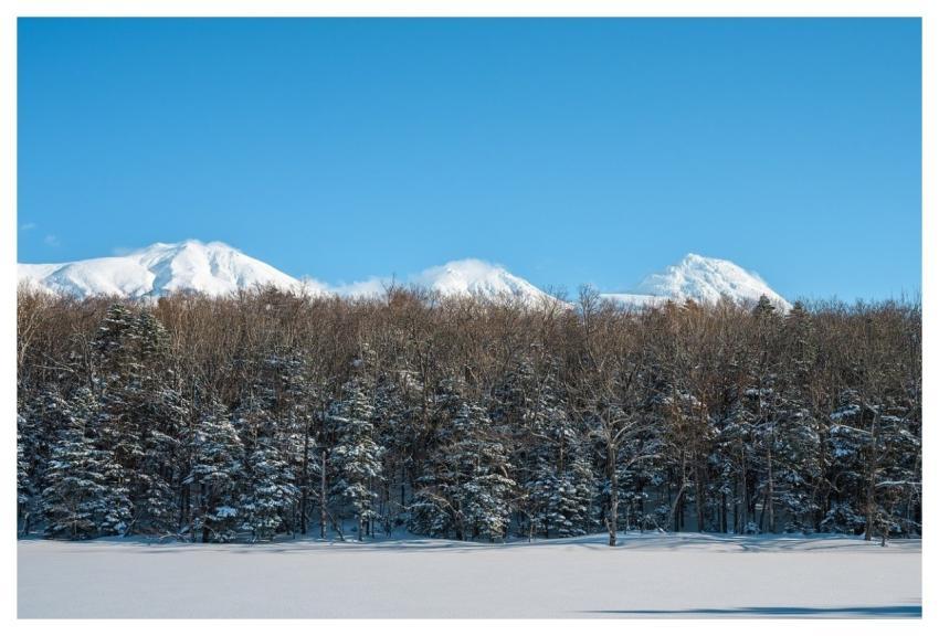 Snow Winter Nature Landscape