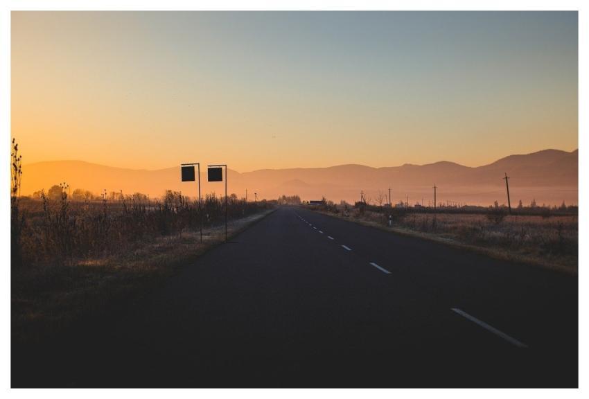 Grass Nature Landscape Frost