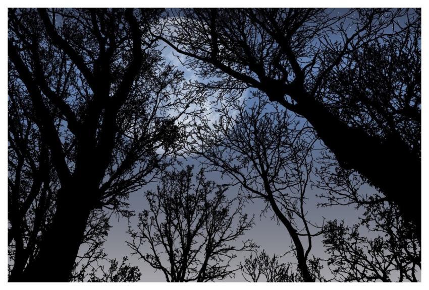 Dusk Night Sky Full Moon Night