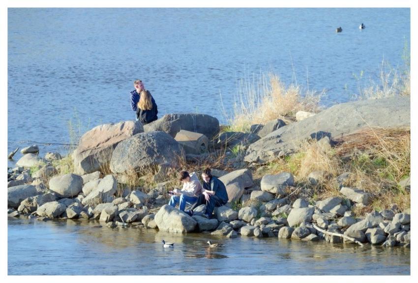 Landscape Islet Stones River