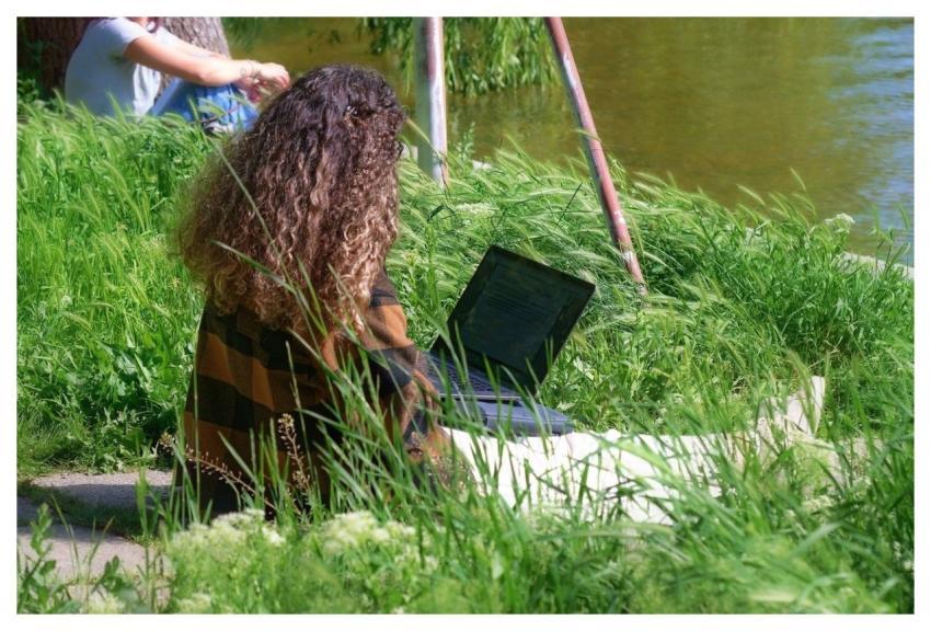 Landscape Park Nature People