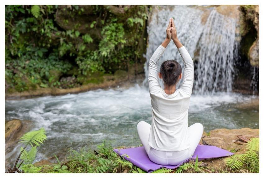 Active Slim Free Background Animal Background