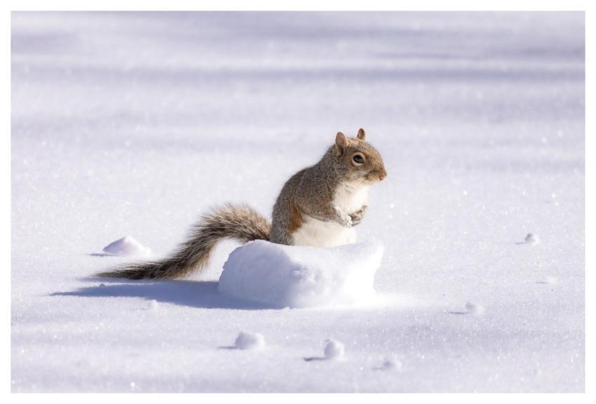 Backyard Photography Desktop Backgrounds Free Wall