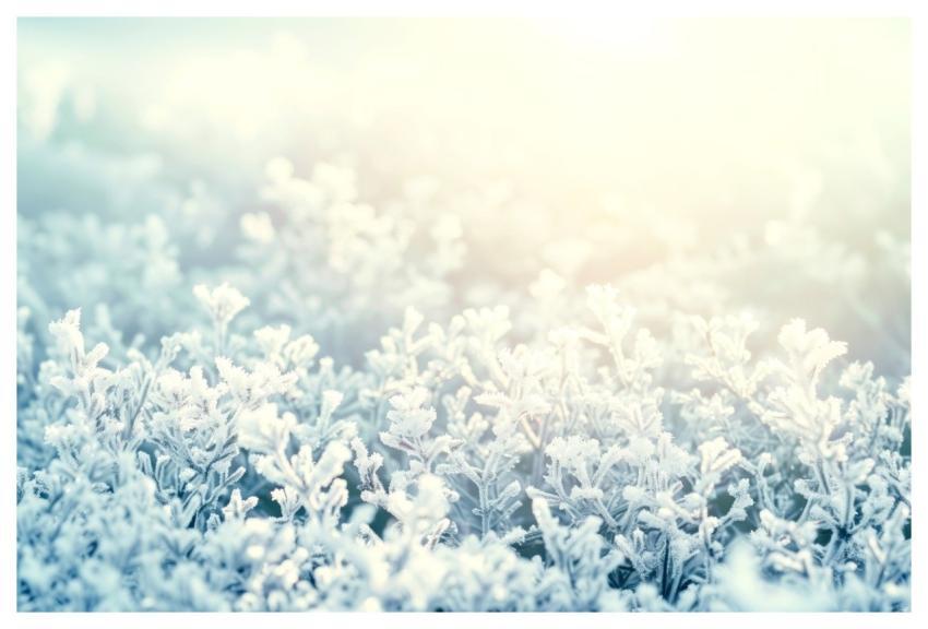 Composite Image Photo Composite Digital Composite