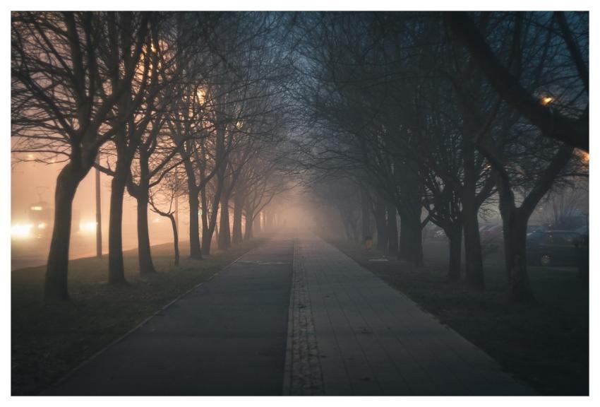 City Walkway Trees Sidewalk