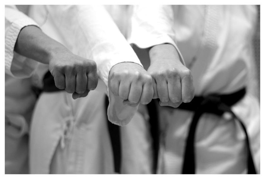 Karate Battle Fist Black Belt