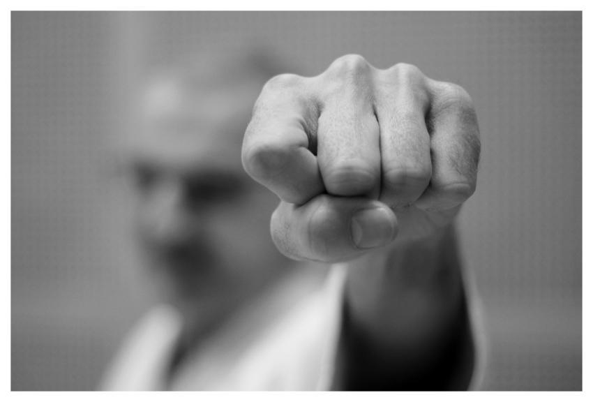 Karate Fist Battle Martial Arts