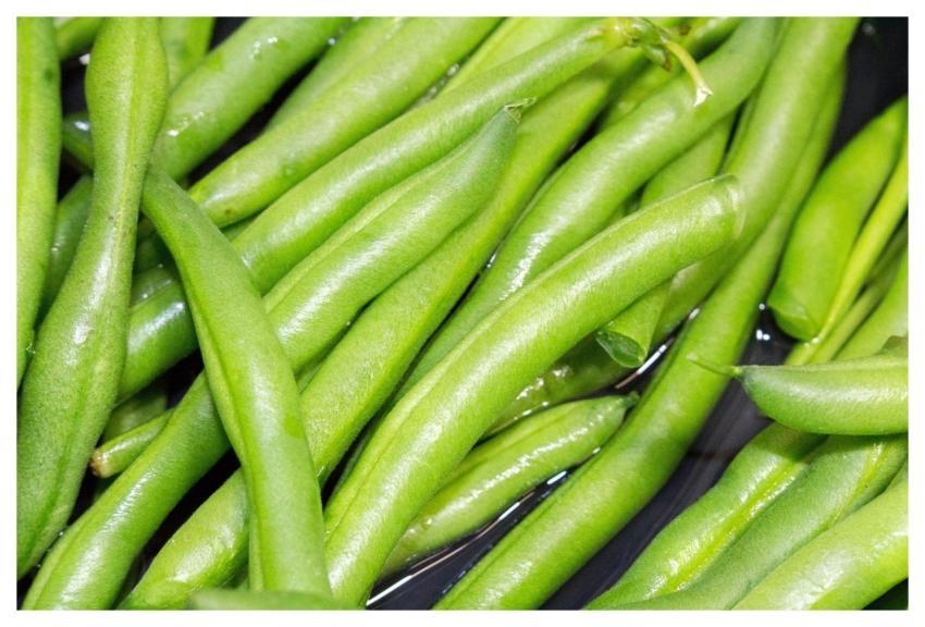 Food Vegetable Health Pod