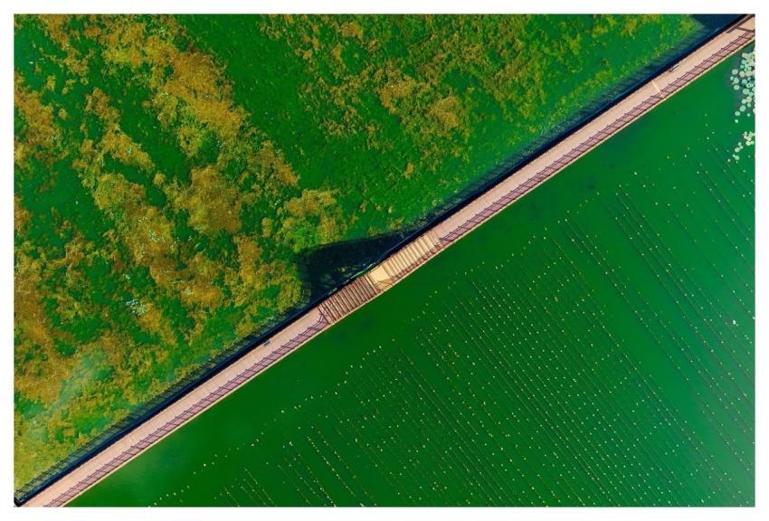 Aerial Lake Bridge Boat