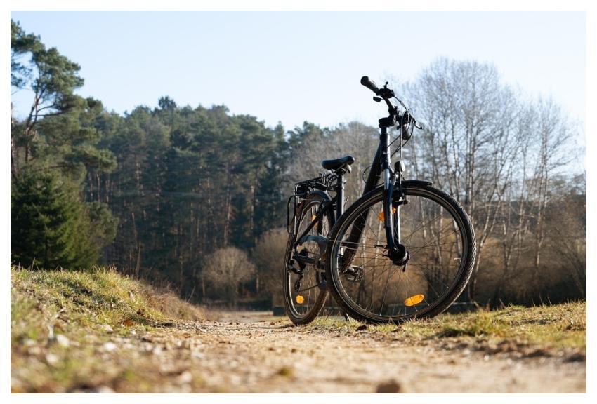 Bicycle Path Trees Sports