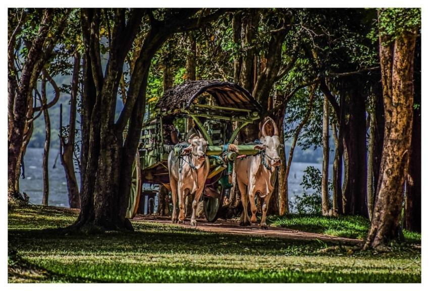 Nature Travel Tourism Lifestyle