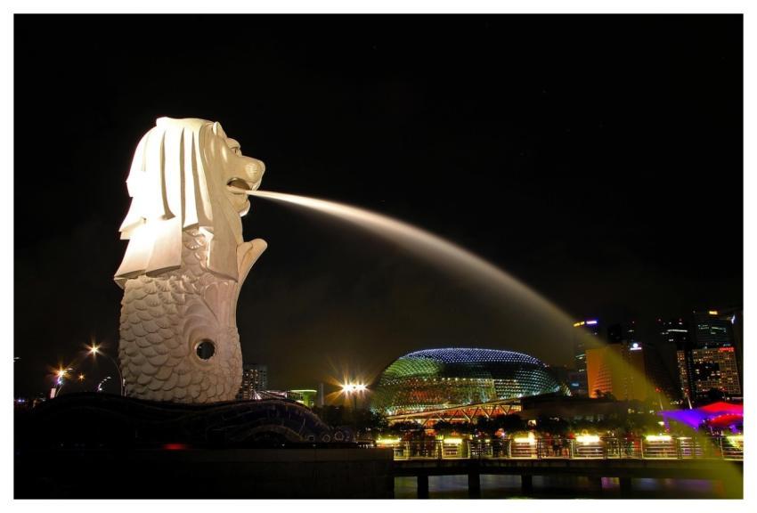 Merlion Singapore City Night