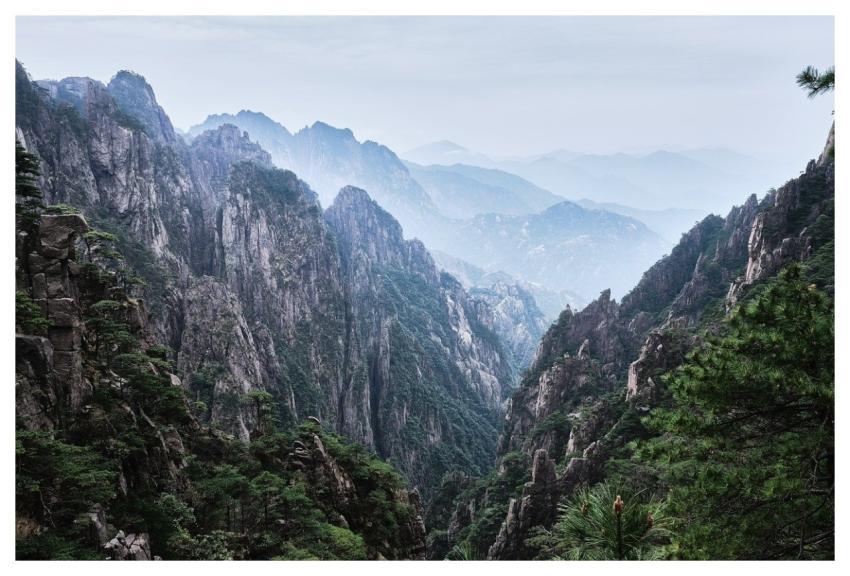 Mountain Huangshan China Trees