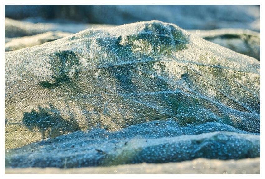 Fleece Nature Plant Close Up