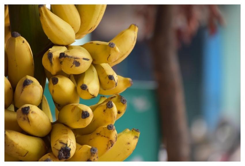 Banana Fruit India Health