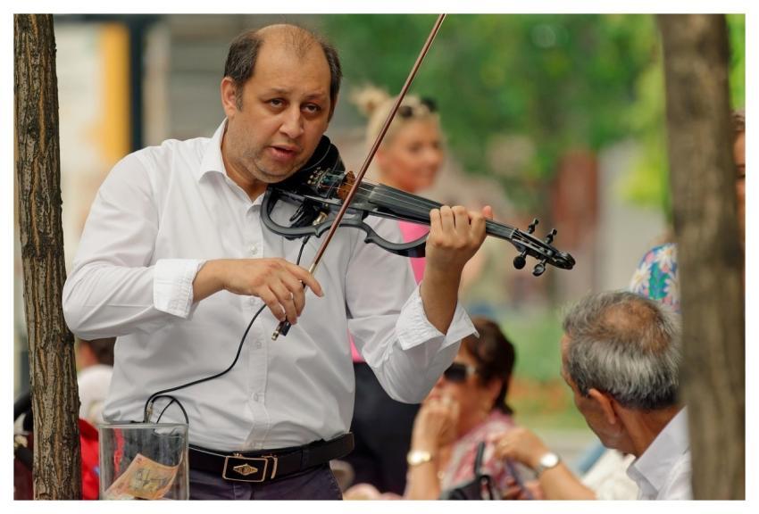 Man Violinist Musician Entertainment