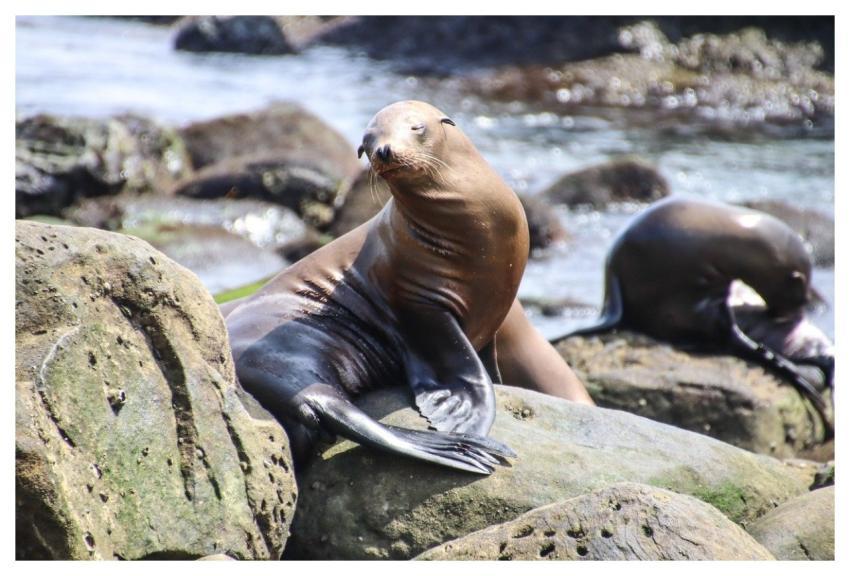 San Diego La Jolla California Southern California