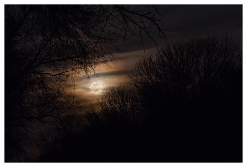 Moon Full Moon At Night Moonlight