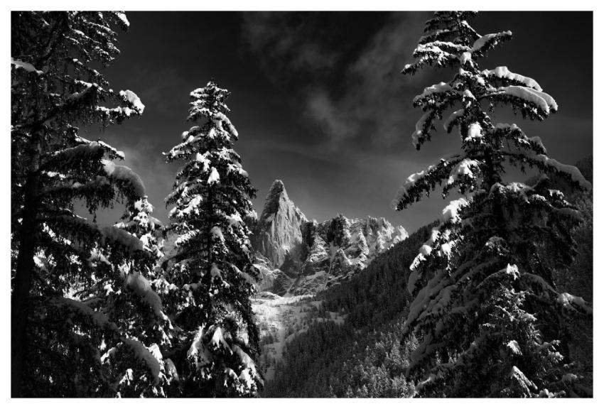 Chamonix Nature Trees Winter Landscape