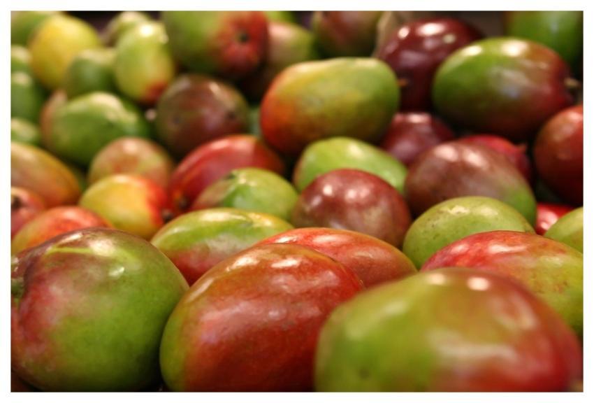 Mango Fruit Colorful Food