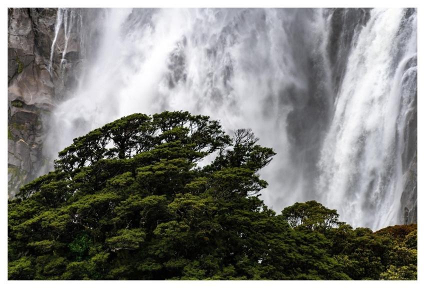 Waterfall Tree Waters Scenery