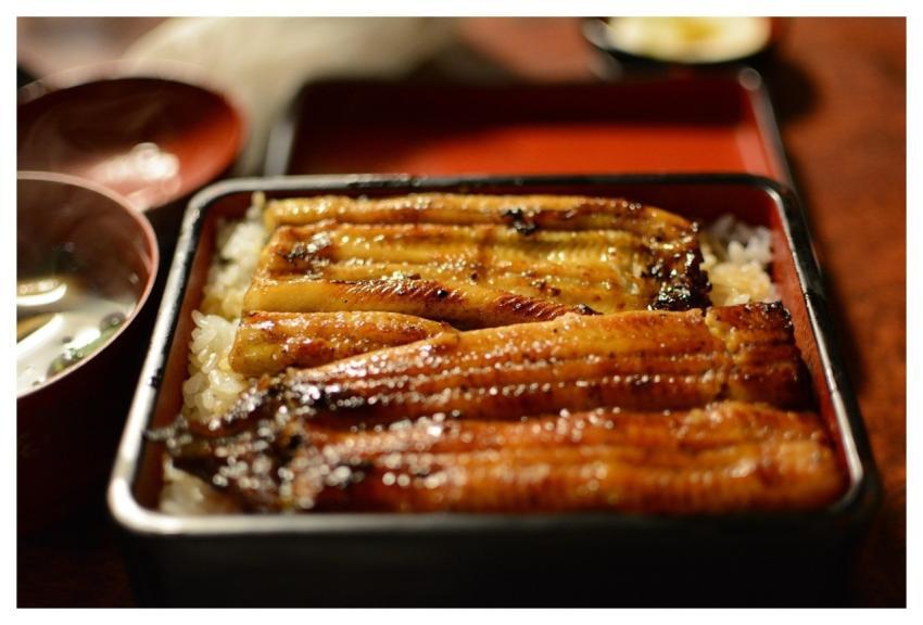 Unadon Eel Japanese Food Gumigasuki