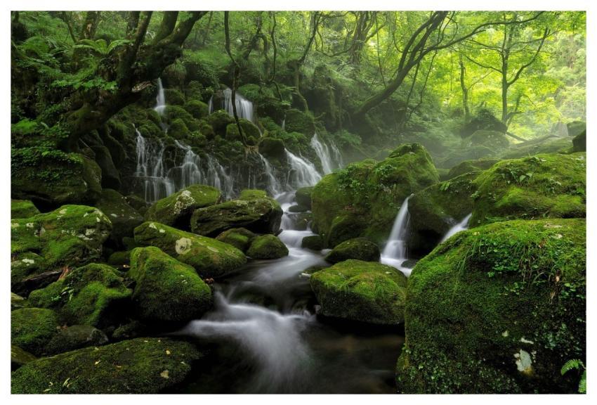 River Stream Spring Cascade