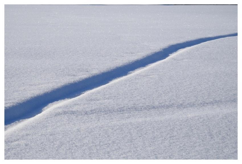 Snow Track Nature Landscape