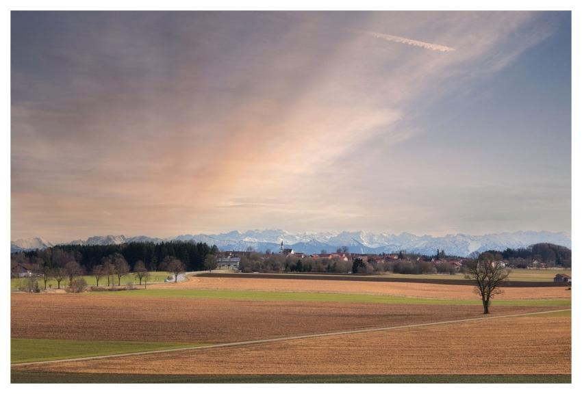 Landscape Winter Forest Trees