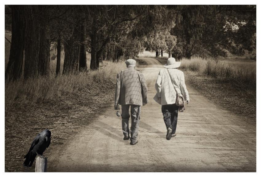 Path Elderly To Walk Walk