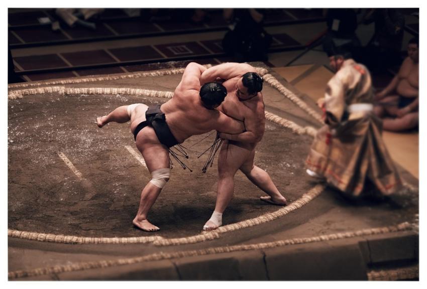 Sumo Wrestler Wrestling Sport