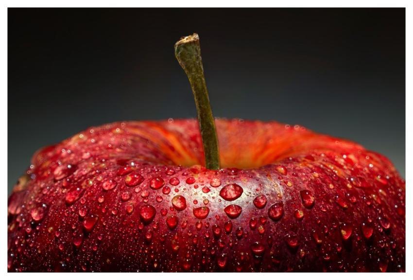 Apple Fruit Wet Food