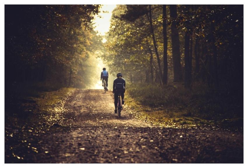Cycling Bicycle Mountainbike Nature