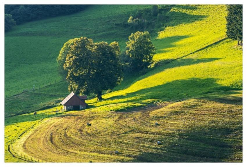 Landscape Field Meadow Farm Yard