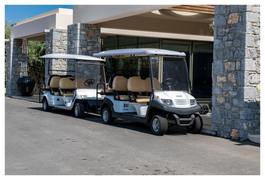 Golf Carts Golf Sport Transport