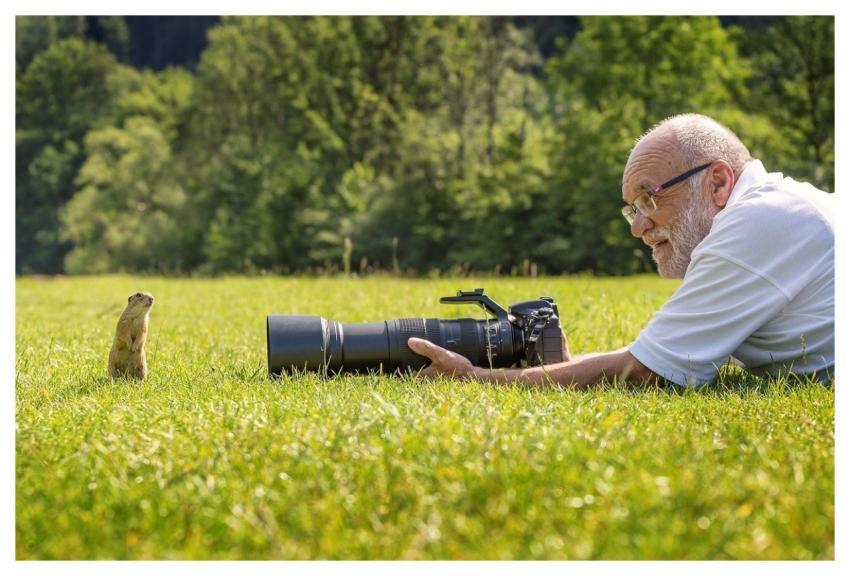 Animal Squirrel Nature Wildlife