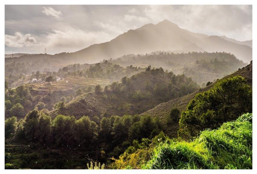 Spain Andalusia Mountains Nature