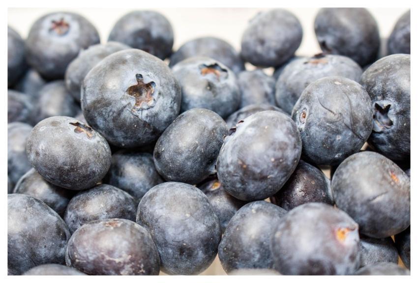 Blueberry Food Fruit Health