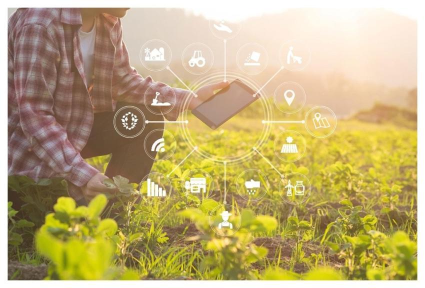 Nature App Rural Field