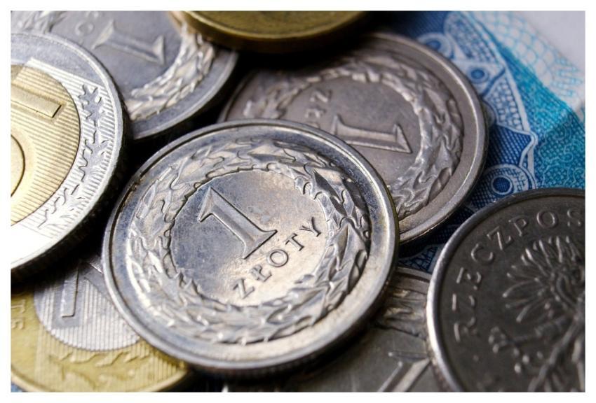 Buck Money Coins Currency