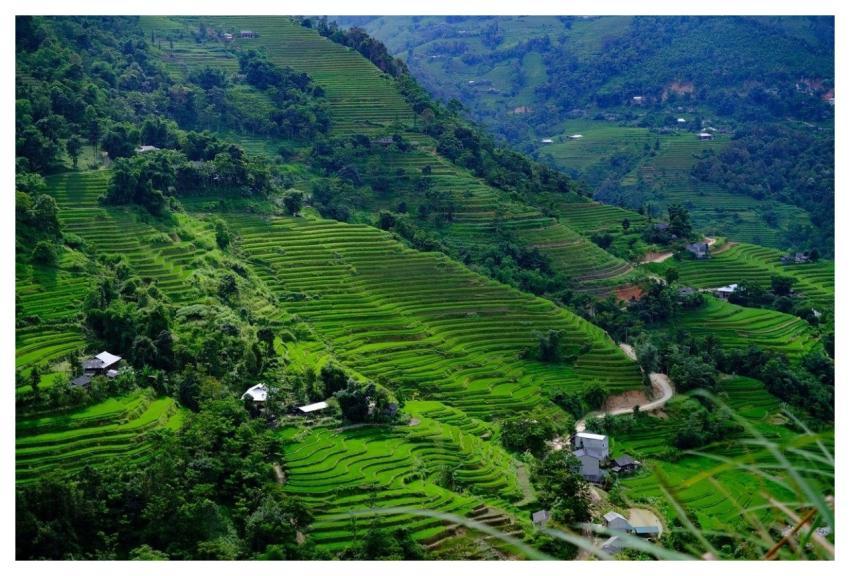 Farmland Mountains Vietnam Nature