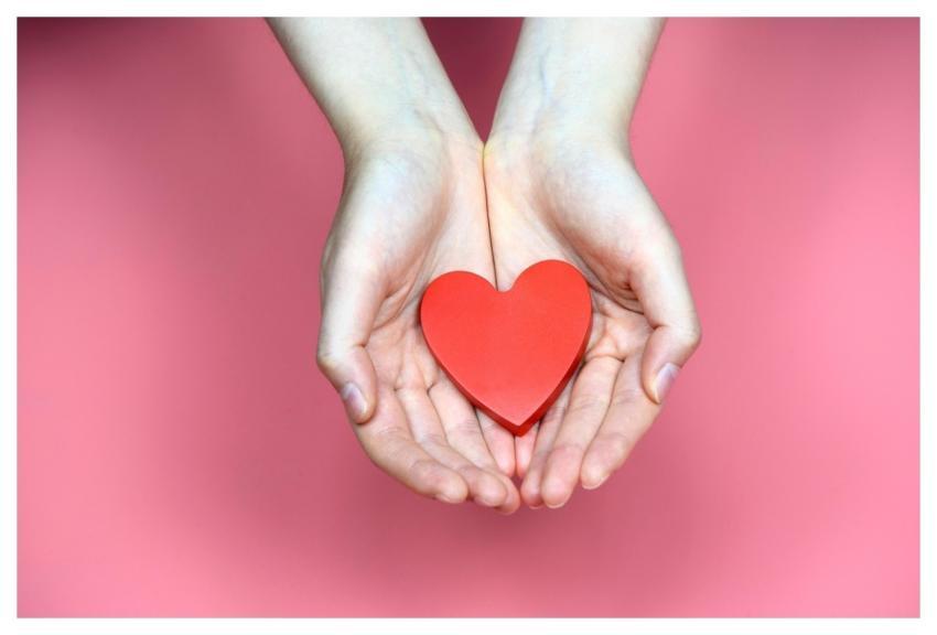 Heart Hand Blood Donation Care