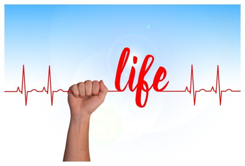 Heart Curve Life Thread