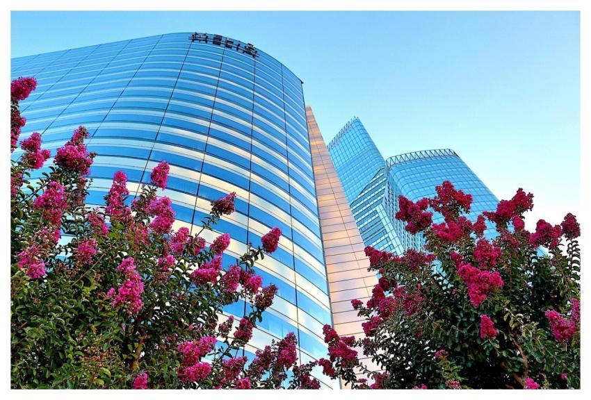 Flowers Buildings High-Rise Buildings Office Build