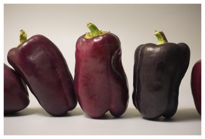 Vegetables Nature Food Health