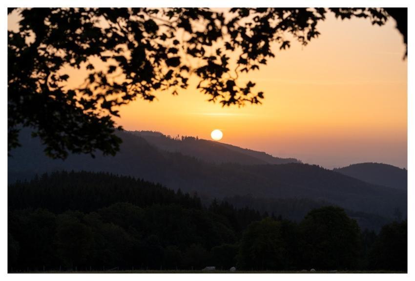 Sunset Mountains Hills Forest