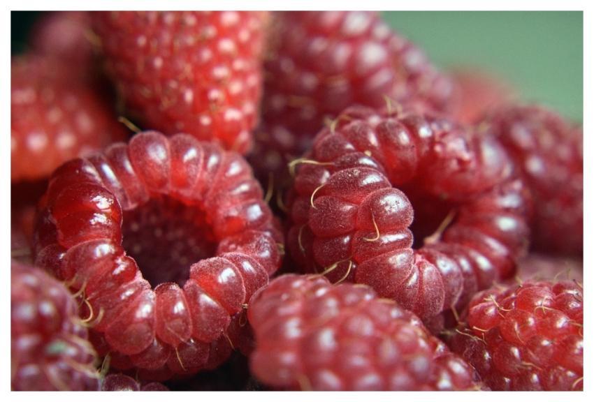 Raspberries Fruits Berries Food
