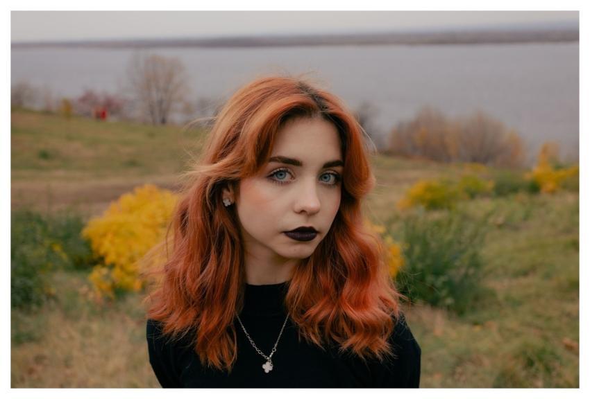 Autumn Nature Fall Leaves