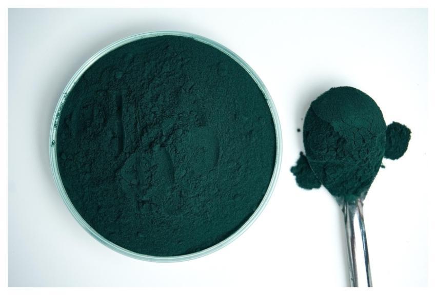 Spirulina Powder Substance Green Product