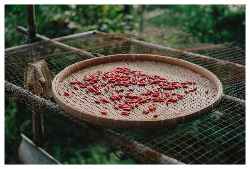 Chilli Food Pepper Cooking